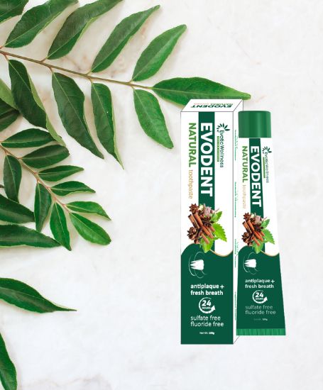 Evodent Herbal Toothpaste